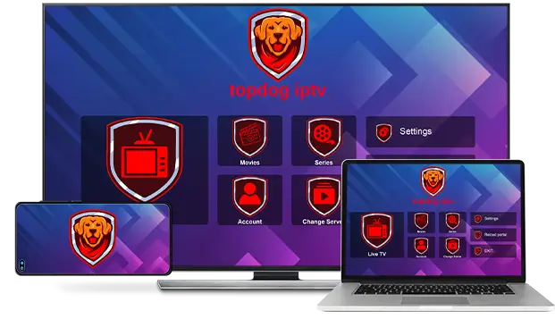 How To Pay Topdog Iptv